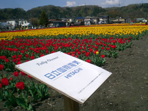 地域活性化イベント