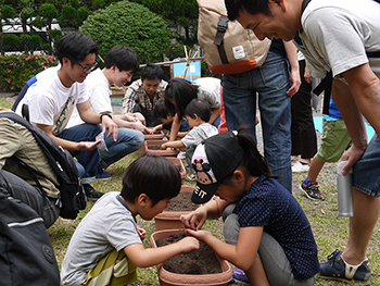 ひまわりの種植えを実施の様子