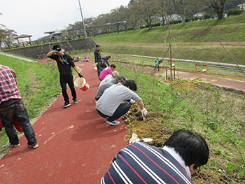 開花を楽しむ様子