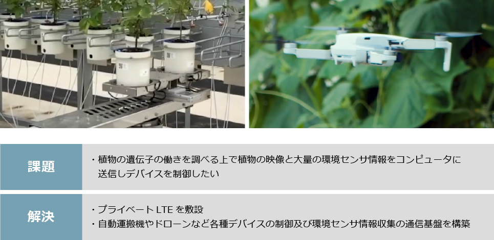 植物の遺伝子研究の為の通信基盤を実現